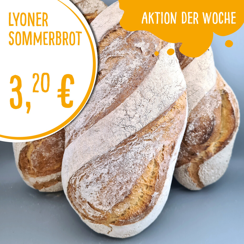 Lyoner Sommerbrot