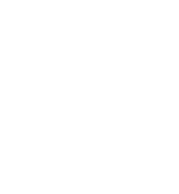 Geschenk Icon